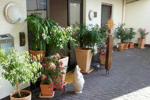 Ein Haufen Topfpflanzen vor einem Gebäude in der Unterkunft Art-Hotel Sonnenhof in Hanau am Main