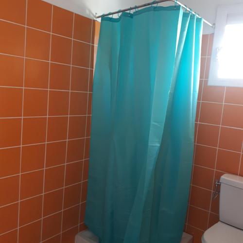a bathroom with a blue shower curtain next to a toilet at Chez JUJU in Le Gosier