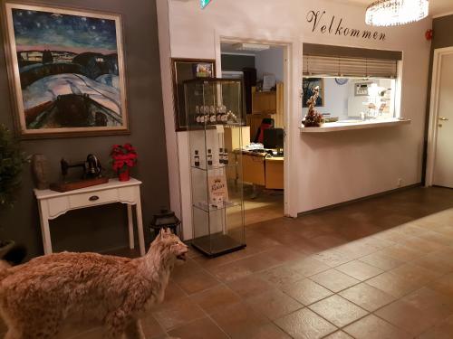 a dog standing in a room with a store at Henriksen Gjestestue in Sørkjosen