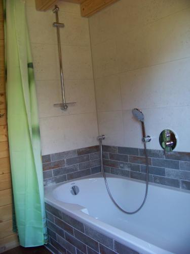 a bath tub with a shower in a bathroom at Ferienhaus Brunnenweiher in Kißlegg