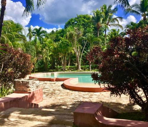 a swimming pool in a yard with palm trees at Hacienda Sacnicte in Izamal