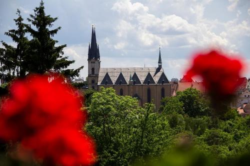 a building with a cathedral in the background with red flowers at Penzion Na Svahu in Cheb
