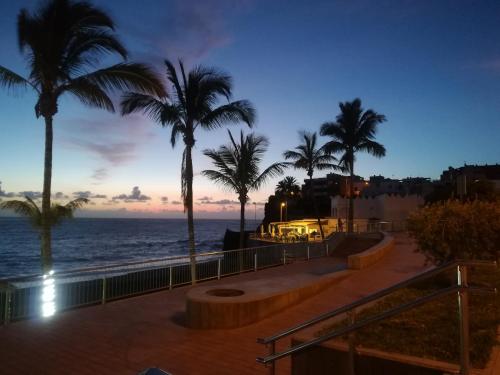 una puesta de sol sobre el océano con palmeras en Apartamento MINI 1 en Puerto Naos