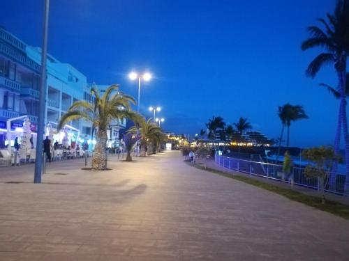 プエルト・デ・ナオスにあるApartamento MINI 1の夜の海辺のヤシの木の歩道
