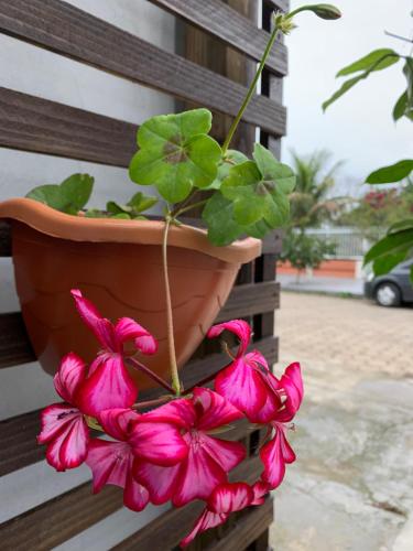 a pot of pink flowers on a wooden bench at Recanto da Sol in Florianópolis
