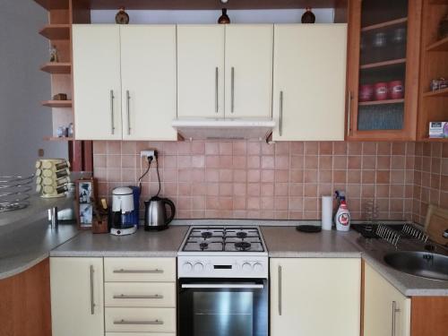 Η κουζίνα ή μικρή κουζίνα στο Apartman Family