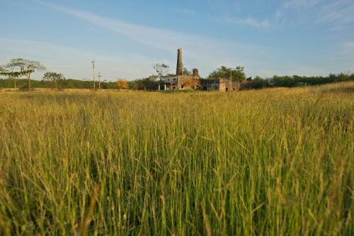 an old house in the middle of a field of tall grass at Hacienda Sacnicte in Izamal