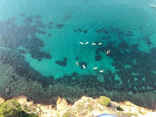 Apartamentos Benivistas