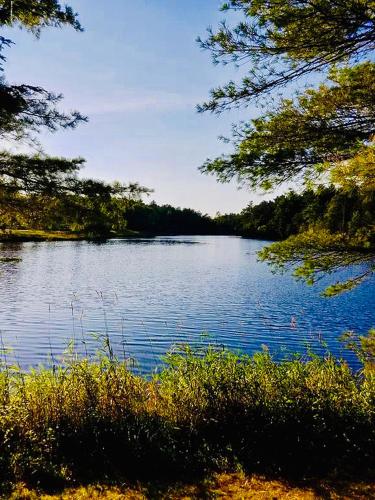 Landskap semula jadi dekat dengan apartmen