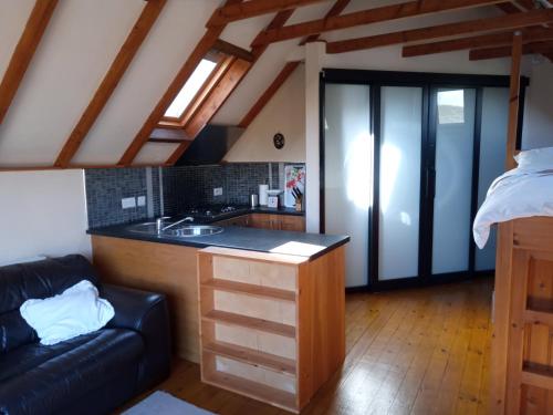 uma cozinha com um balcão e um sofá num quarto em Rose Cottage studio em Sheffield