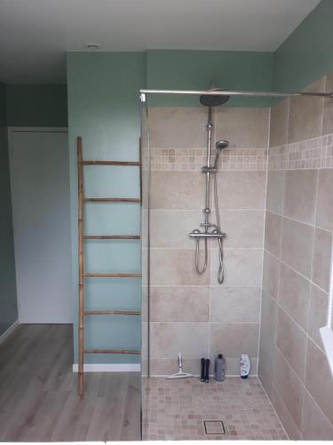 une douche avec une porte vitrée dans une salle de bain dans l'établissement Villa poupa, à Châtillon-sur-Cher