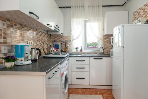 Kuhinja ili čajna kuhinja u objektu Dualis Hotel