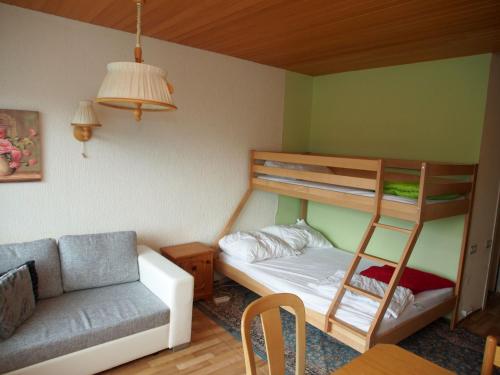 a small room with a bunk bed and a couch at Mountain View Apartment in Bad Mitterndorf
