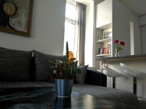 sala de estar con sofá y mesa con planta en Vilnius apartment with stained glass, en Vilna