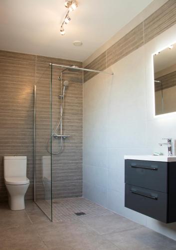 a bathroom with a shower and a toilet and a sink at Bramble Cottage in Rathfriland