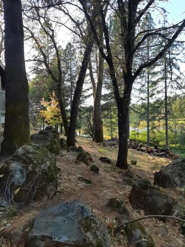un grupo de árboles y rocas en un parque en Alta Sierra Village Inn, en Grass Valley