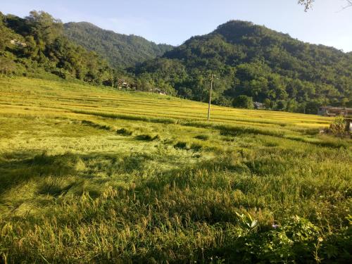a field of grass with mountains in the background at Hoa Lan Hotel in Bak Kan