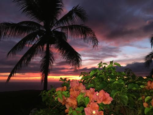 Gallery image of Kona Bayview Inn in Captain Cook