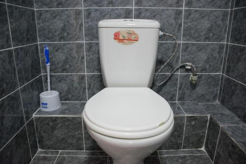 a toilet in a tiled bathroom with a toothbrush at Astana Hotel in Almaty