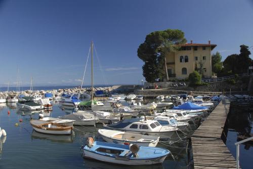 un groupe de bateaux est amarré dans un port dans l'établissement Palmgarden Apartments Opatija-Ičići, à Opatija