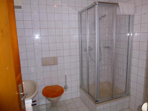a bathroom with a shower and a toilet at Bauernhaus Jocher in Krün