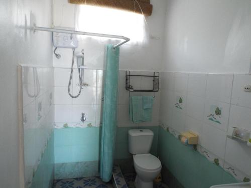 a bathroom with a shower with a toilet and a sink at Le Paradiso Apartments in Rodrigues Island