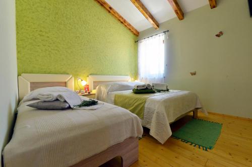 two beds in a room with green walls at Bed and Breakfast Casa Rustica in Vodnjan