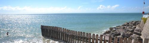 Sea Grove