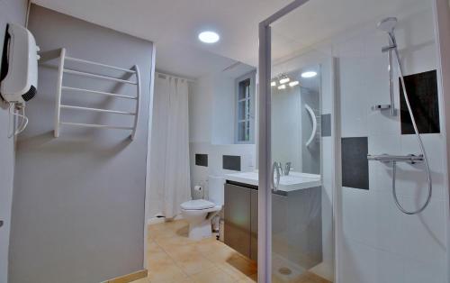 a bathroom with a shower and a toilet and a sink at Gite du Hougarou in Ferrières