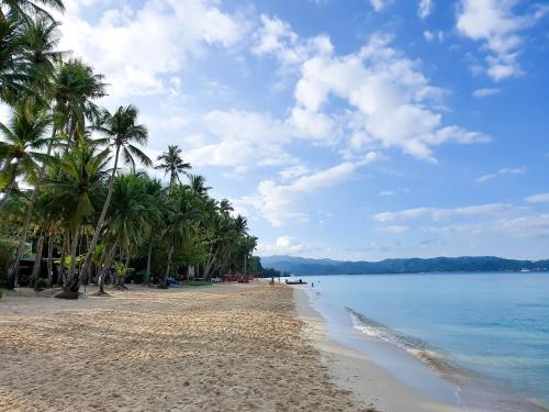 a beach with palm trees and the water at Cocoloco Beach Resort in Boracay