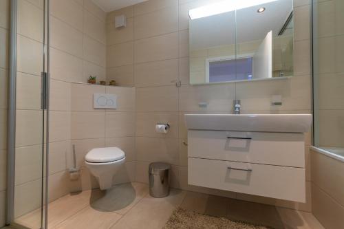 La salle de bains est pourvue de toilettes, d'un lavabo et d'un miroir. dans l'établissement Chalet Gousweid- Mönch Apartment, à Wilderswil