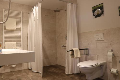 y baño con aseo, lavabo y ducha. en Schwarzwaldhuus Feldberg, en Feldberg