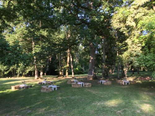 a group of picnic tables in a park with trees at Le Moulin Bleu in Saint Cyr-sous-Dourdan