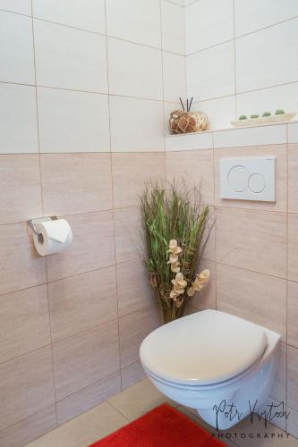 a bathroom with a toilet and a roll of toilet paper at Luxurious, lovely and romantic apartment in Tabor in Tábor