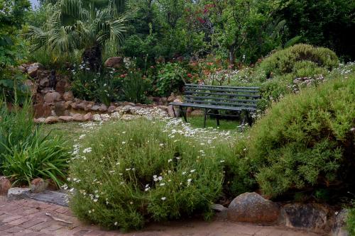 a park bench sitting in the middle of a garden at Green Olive Guesthouse in Robertson