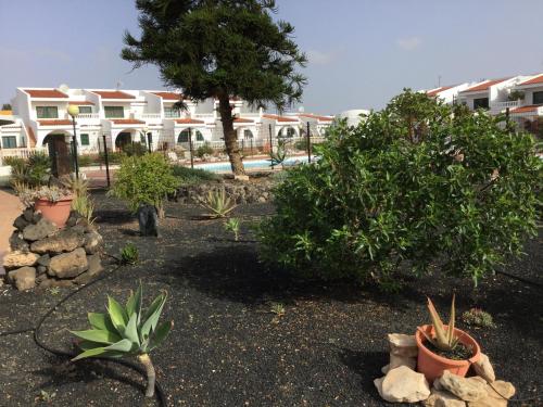 Billede fra billedgalleriet på Costa Antigua i Costa de Antigua