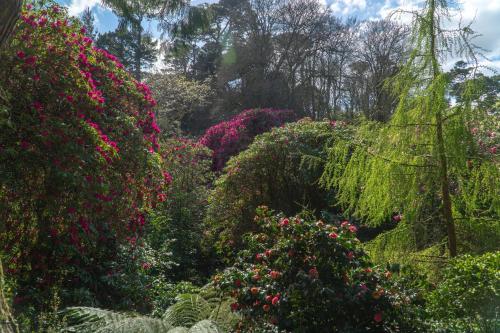 Un jardín fuera de Hotel Meudon