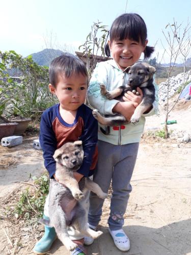 two young children are holding two baby puppies at SaPa Farmer House in Sa Pa