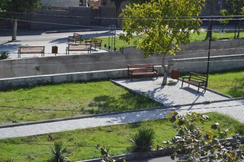 a group of park benches sitting on the grass at Royal Telavi in Tʼelavi