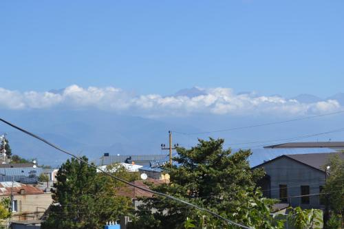a view of a city with a mountain in the background at Royal Telavi in Tʼelavi