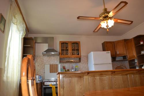 a kitchen with a ceiling fan and a refrigerator at Royal Telavi in Tʼelavi