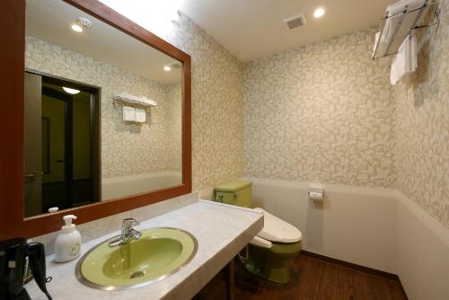 a bathroom with a sink and a toilet and a mirror at Aridagawa Onsen Hotel Sunshine in Arida