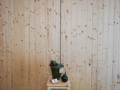 een houten muur met een potplant op een tafel bij O VIOLAS - Art Coffee & Guesthouse in Praia de Mira