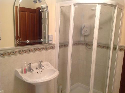 a bathroom with a shower and a sink at The Rock Equestrian Farm B&B in Bailieborough