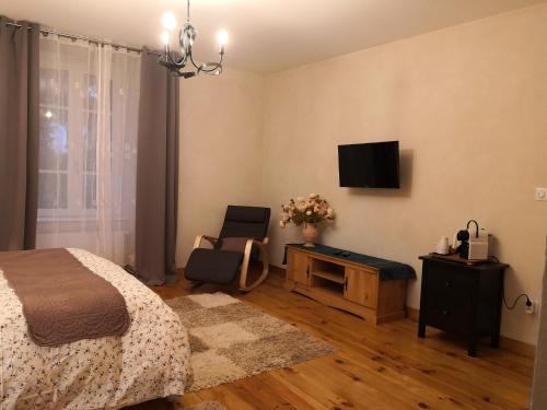 sypialnia z łóżkiem, krzesłem i telewizorem w obiekcie Les chambres d'hôtes de la Frissonnette w mieście Auzelles