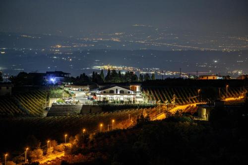Cantine Iannella – Photos 2