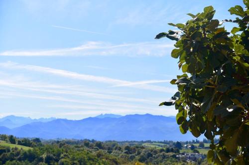 a view of the mountains from a tree at Chambres d'Hôtes Coteaux Sud in Jurançon
