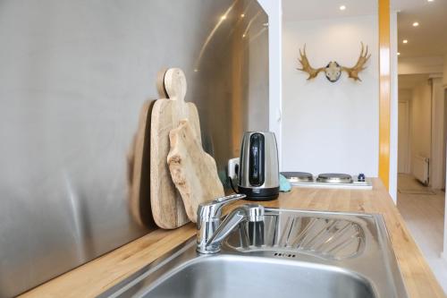 eine Küchenspüle mit einem Haartrockner auf der Theke in der Unterkunft Logement Nij Bonga Holwerd in Holwerd