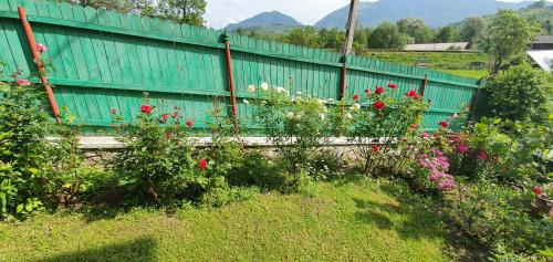 a green fence with flowers in front of it at Belvedere La Cristina in Corbeni