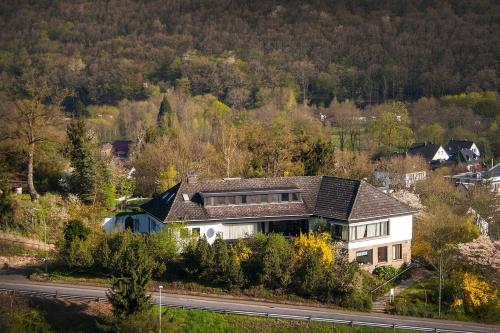 Cozy Flat in the hills of Eifel Nationalpark